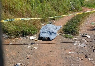 Police arrest suspect after brutal stabbing near Meyerton Dumping Site Police arrest suspect after brutal stabbing near Meyerton Dumping Site